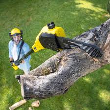 Best Arborist Consultation Services  in Surf City, NJ